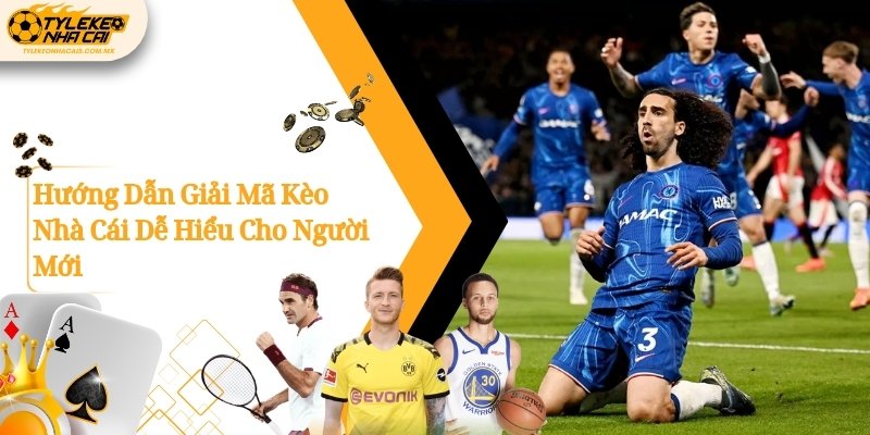 Hướng Dẫn Giải Mã Kèo Nhà Cái Dễ Hiểu Cho Người Mới