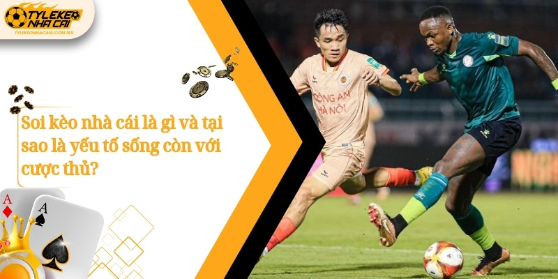 Soi kèo nhà cái là gì và tại sao là yếu tố sống còn với cược thủ?