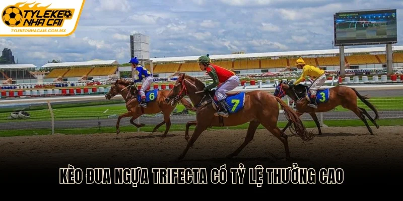 Kèo đua ngựa Trifecta có tỷ lệ thưởng cao